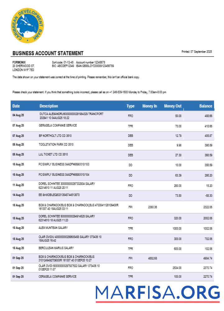 Realistic Caribbean Development bank firm account statement Word and PDF template